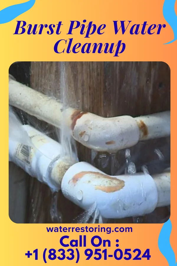 Burst Pipe Water Cleanup in Hampton, IL