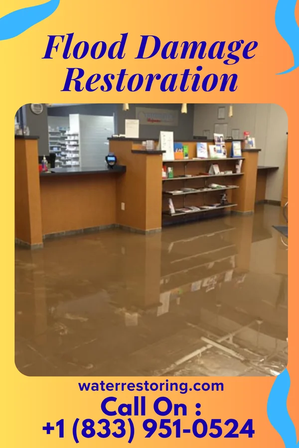 Flood Damage Restoration in Hampton, IL