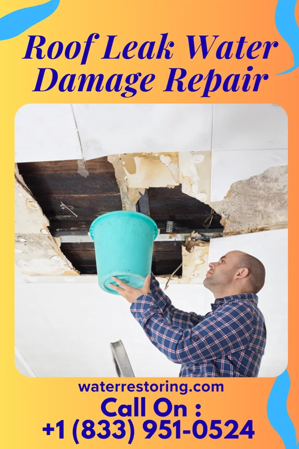 Roof Leak Water Damage Repair in Hampton, IL