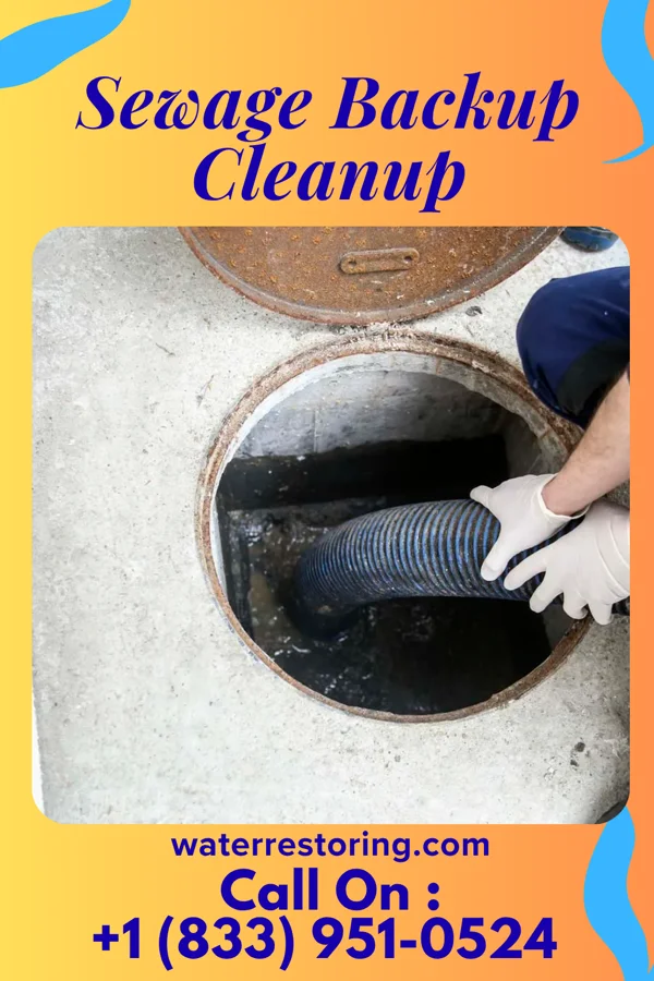 Sewage Backup Cleanup in Hampton, IL