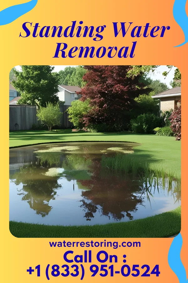 Standing Water Removal in Hampton, IL